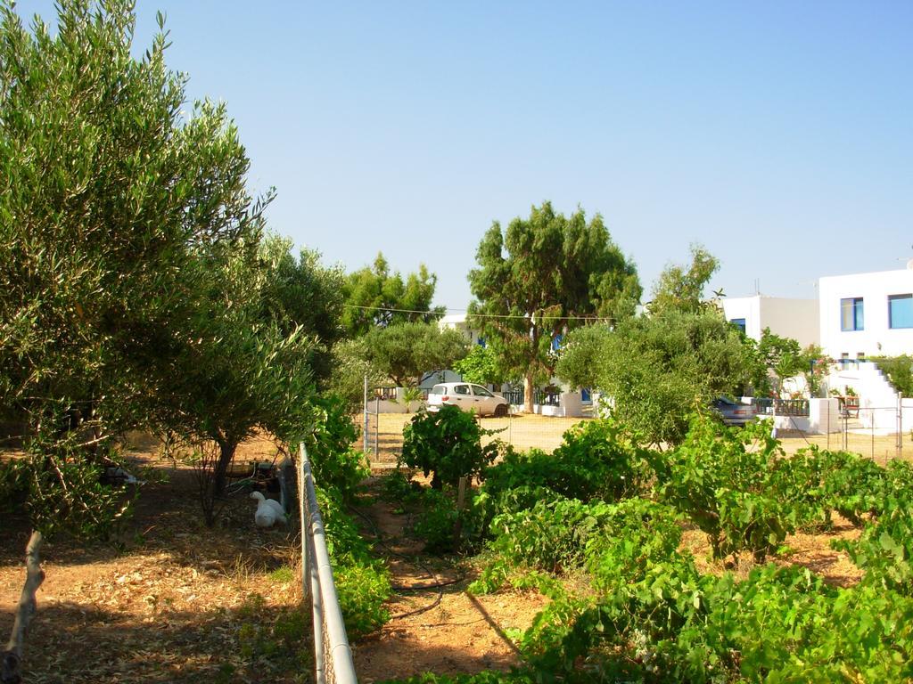 Horizon View Studios Amoopi Dış mekan fotoğraf